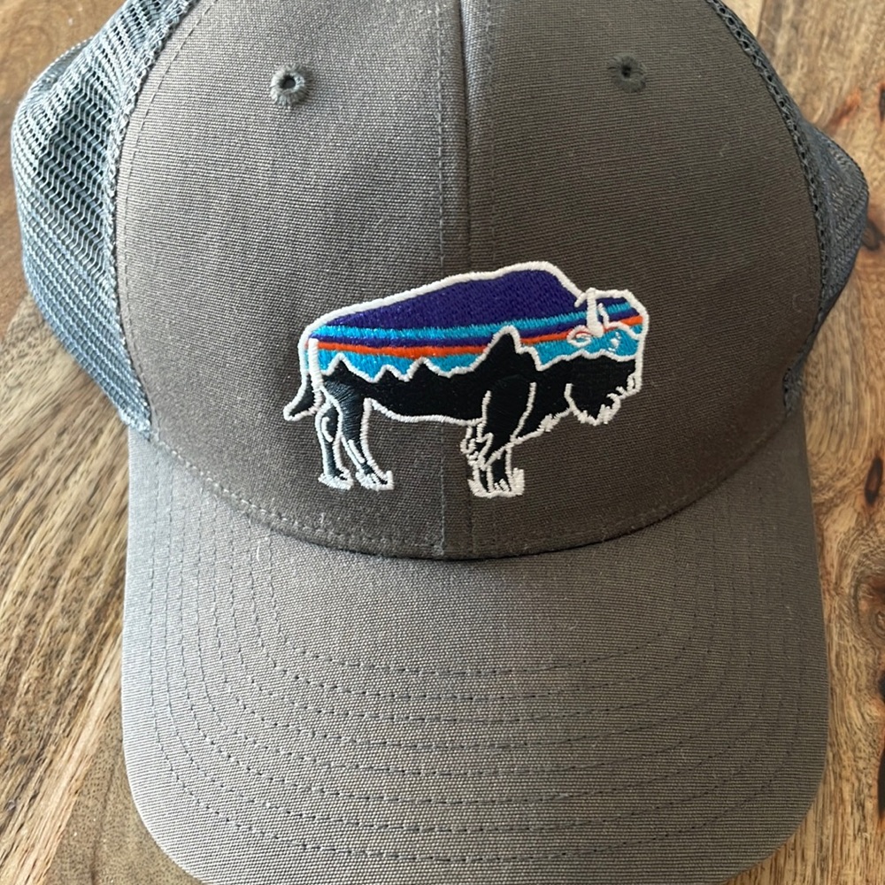 Patagonia hat